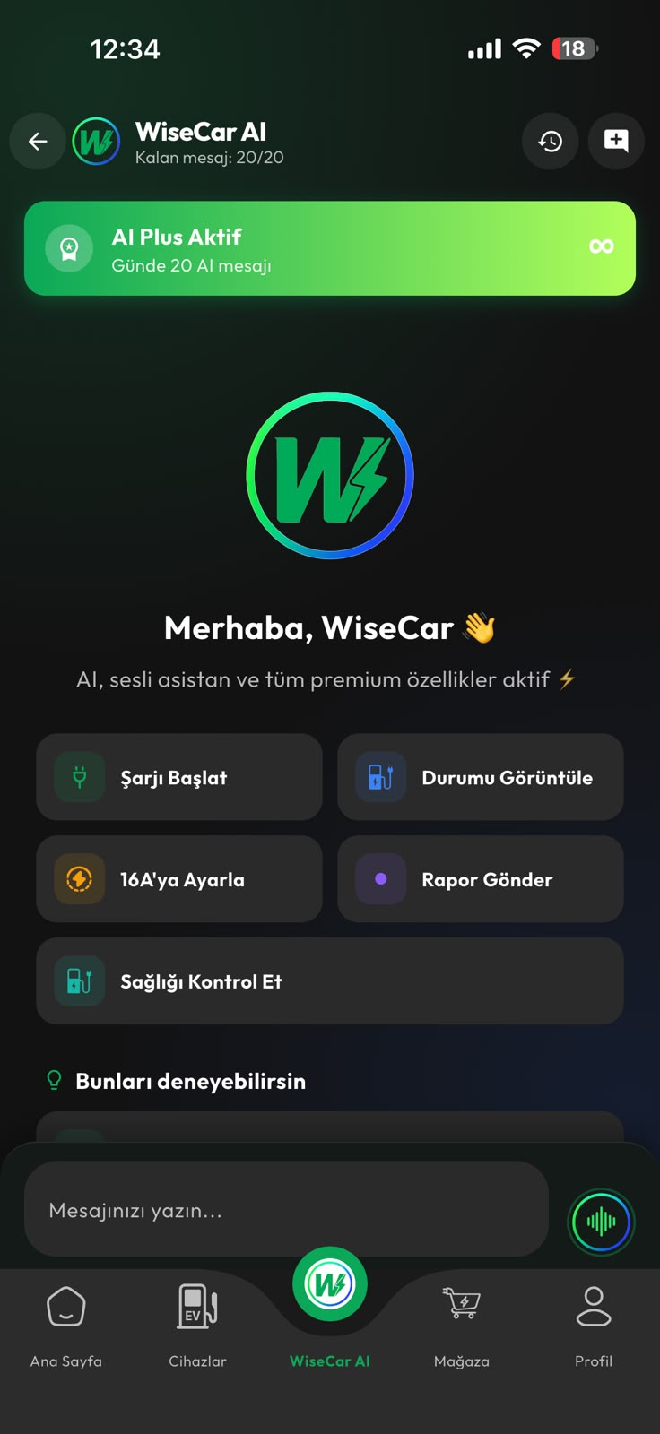 WiseCar AI